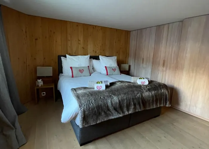 Chalet Les Moulins 5 Cheminee Piscine Sauna Parking Prive *